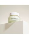 Cactus Oasis Cream · Urang | MiiN Cosmetics