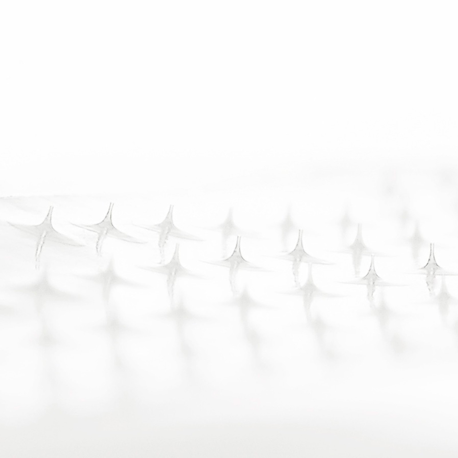 Peptide Micro Needle Patch · LAGOM | MiiN Cosmetics