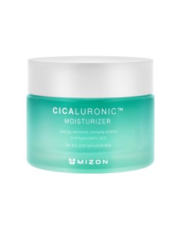 Reparierende Feuchtigkeitscreme mit Hyaluronsäure und Centella asiatica - Mizon | MiiN Cosmetics