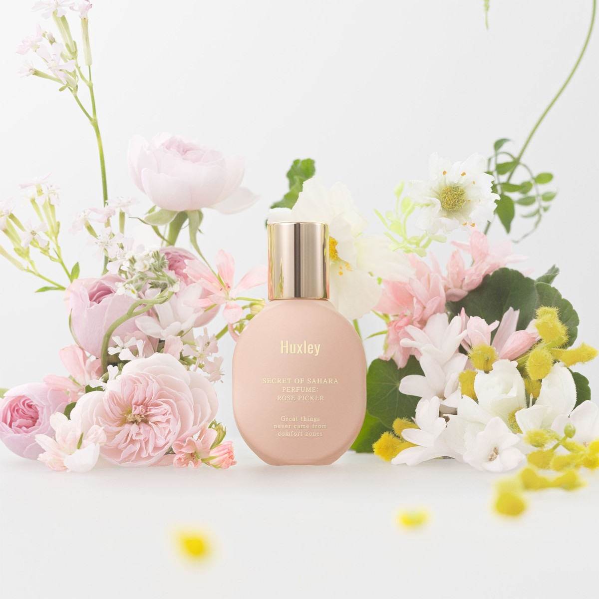 Perfume Berber Portrait · Huxley | MiiN Cosmetics