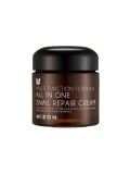 All In One Snail Repair Cream